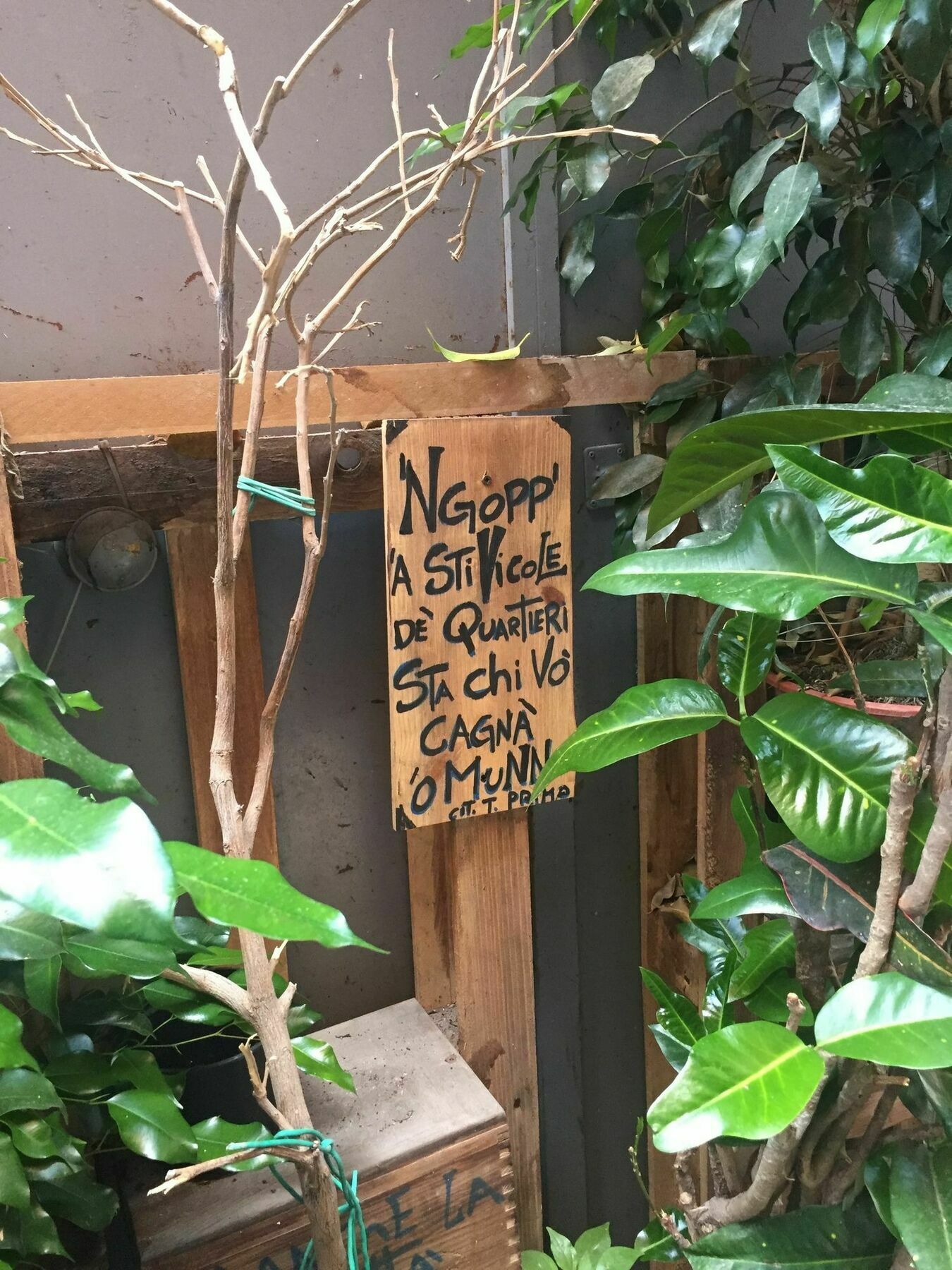 Vicoli Di Napoli
